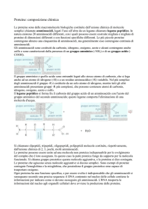 Proteine: composizione chimica - itis galileo galilei conegliano