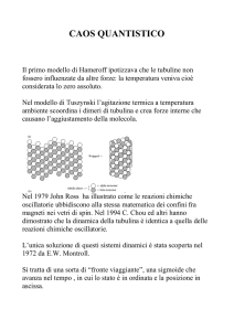 Il primo modello di Hameroff ipotizzava che le tubuline non fossero
