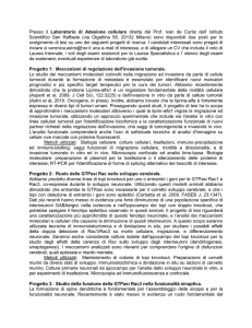 Progetti tesi San Raffaele - Corso di Laurea in Biologia