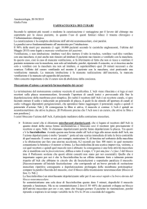 Anestesiologia, 20/10/2015 Giulia Fenu FARMACOLOGIA DEI