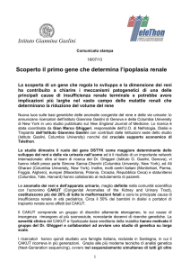 Istituto Giannina Gaslini Comunicato stampa 18/07/13 Scoperto il