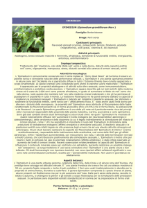 Epimedium - Farmacia S. Antonio – Brescia