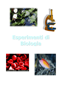 esperimenti di biologia