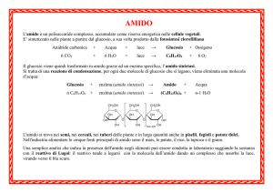 amido - IHMC Public Cmaps (2)
