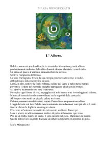Albero - Bosco dei Poeti