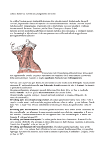 Cefalea Tensiva e Esercizi di Allungamento del Collo