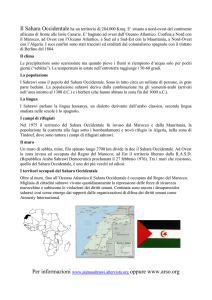 Il Sahara Occidentale ha un territorio di 284
