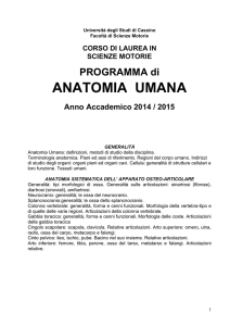 programma anatomia umana 20142015