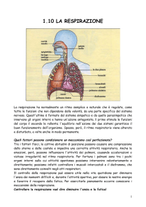 la respirazione - Prof. Renato Atzeni