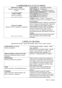 carboidrati+lipidi - ITIS "Luigi di Savoia"