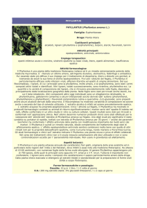 phyllantus - Farmacia S. Antonio – Brescia