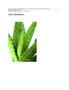 Aloe in BelSalento - BelSalento.com