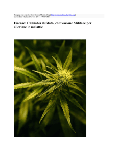 Firenze: Cannabis di Stato, coltivazione Militare per alleviare le