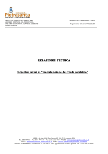 Relazione Tecnica - Comune di Pietrasanta