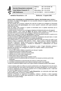 Diabrotica virgifera - Repubblica e Cantone Ticino