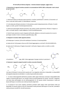 4ª CH Verifica di Chimica Organica – Ammine
