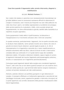 Cedimento legamento - Michele Fontana , Saverio Colonna
