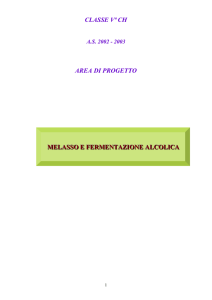 Area_di_Progetto_MELASSO