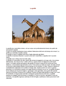 La giraffa - IHMC Public Cmaps