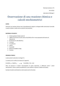 Relazione di laboratorio di Tommaso Lorenzon 3 A