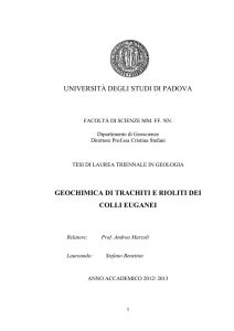 Documento PDF (Tesi)