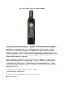 Olio extra vergine d`oliva del Chianti Classico L`olio: da tre