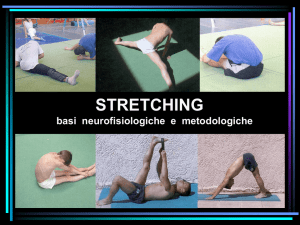 L`effetto antalgico degli esercizi di stretching