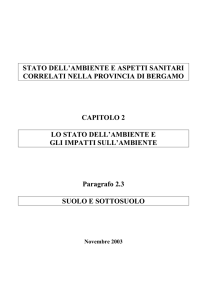 pdf 43K - Provincia di Bergamo