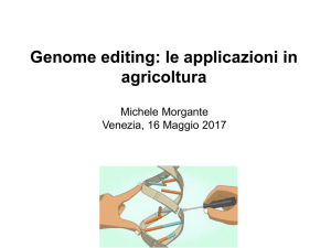 miglioramento genetico - Istituto Veneto di Scienze, Lettere ed Arti