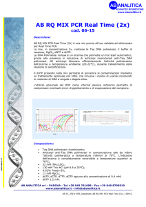 AB RQ MIX PCR Real Time (2x)