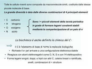 amminoacidi -particolare -densità