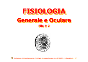 Fis Gen Oculare 07