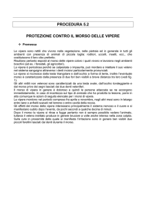 PROCEDURA 5.2 PROTEZIONE CONTRO IL MORSO DELLE VIPERE