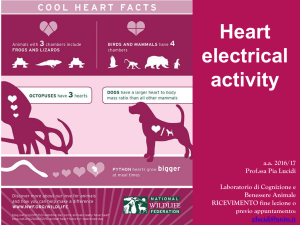 1-heart electrical activity - Progetto e
