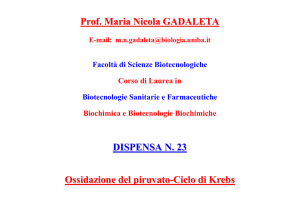 Prof. Maria Nicola GADALETA DISPENSA N. 23 Ossidazione del