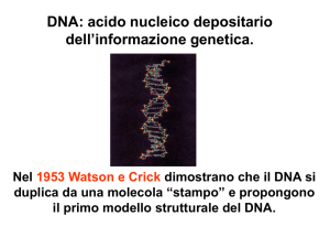 h. DNA depositario dell`informazione genetica (8) AA 2016