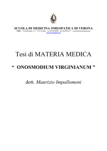 Onosmodium Virginianum - Scuola di Medicina Omeopatica di Verona