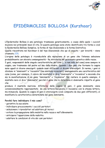 EPIDERMOLISI BOLLOSA (Kurzhaar)