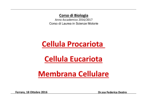 Cellula Procariota Cellula Eucariota Membrana Cellulare