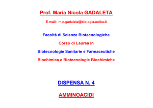 Prof. Maria Nicola GADALETA DISPENSA N. 4 AMMINOACIDI