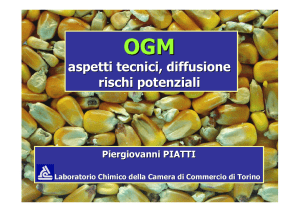 OGM: aspetti tecnici, diffusione rischi potenziali