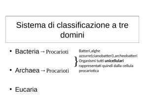 Sistema di classificazione a tre domini