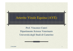 Arterite Virale Equina
