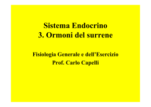 Sistema Endocrino 3. Ormoni del surrene