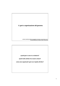 6.geni e organizzazione genoma File - Progetto e