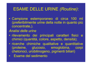 esame delle urine