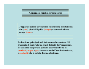 Sistema Cardio-Circolatorio