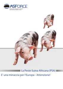 La Peste Suina Africana (PSA)