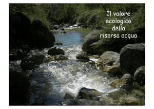Il valore ecologico della risorsa acqua