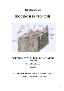 biocenosi bentoniche